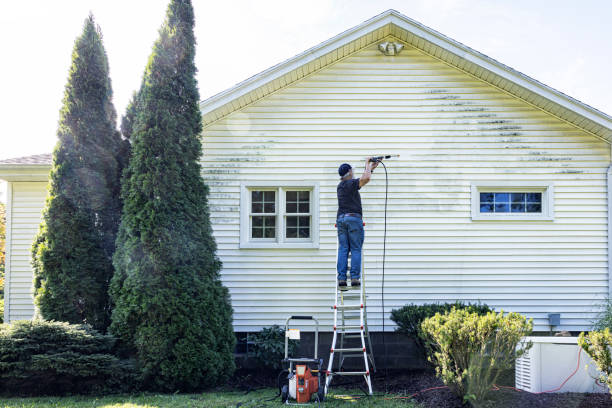 Best Affordable Pressure Washing  in Norwood, NY